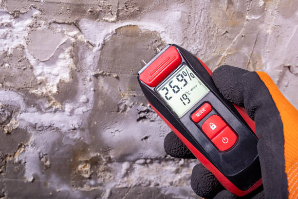 Best Mold Testing  in Magnolia Springs, AL