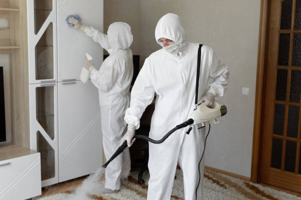 Best Commercial Mold Removal  in Magnolia Springs, AL